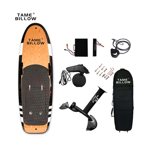 Conception OEM ODM personnalisée TAME BILLOW EF01 Efoil Motor Propeller Jet Board 110kg - Product Image 1