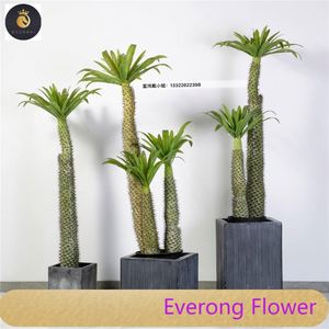 Cây Xương Rồng nhiệt đới cây nhiệt đới Brazil Keel cây nhân tạo lớn trong nhà - Product Image 1