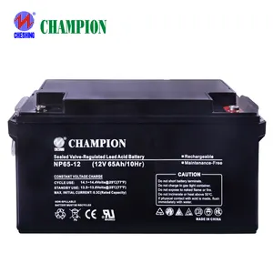 Champion Long Life Rechargeable Ups Battery Maintenance Free 12v 65ah 55ah 40ah Sealed Lead Acid Battery energy storage Battery