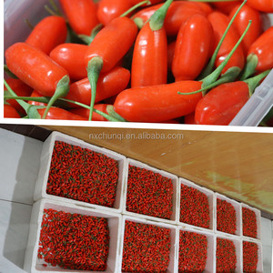 Snack di frutta nutritiva di tipi di bacche di Goji essiccate alimentari - Product Image 5