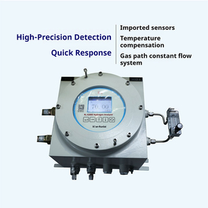 Runlai Intelligent E200Ex Explosion Proof Analyzer Digital LCD Display Customizable Gas Detector - Product Image 2