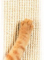 Smart Chat Pionnier Pour Animaux Ultimate Griffoir (Beige)