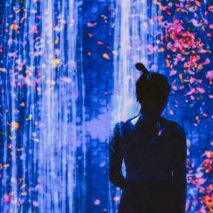 Projection d'art numérique multi-sensoriel Cartographie Projection murale interactive Salle de projection immersive - Product Image 2