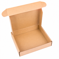 Flugzeugbox aus Kraftpapier, Faltbare Wellpappe-Versandkartons, Umweltfreundlich für Schmuck- und Kosmetikverpackungen