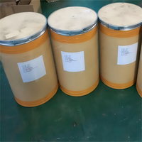 Poudre de haute qualité en vrac de zéine protéine de zéine protéine de maïs poudre de zéine cas 9010