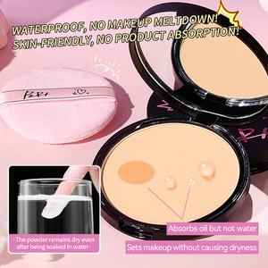 Custom PIPL Touch-Up occultamento olio-controllo di lunga durata a prova di trasferimento OEM fabbrica diretta Vegan pressato trucco in polvere compatta - Product Image 5