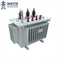 Transformateur Électrique Immergé dans l'Huile 11kV 50kVA 100kVA 200kVA 500kVA Triphasé en Cuivre Certifié CE IP54 Personnalisable Refroidissement ONAN Extérieur