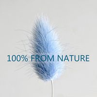 60 Pcs Rumput Pampas Kering Lagurus Ovatus 17-inci, Paket Besar, Bunga Kering Blue Bunny Tails untuk Dekorasi Pernikahan Boho