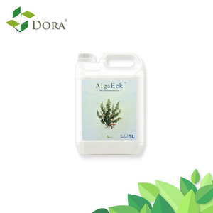 Algues enzymatiques organiques Ecklonia Maxima Acide alginique Algas Marinas Fertilizante <span class=keywords><strong>Engrais</strong></span> liquide <span class=keywords><strong>pour</strong></span> arbres fruitiers Mangue Cacao - Product Image 3