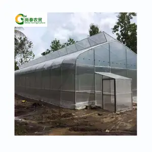 Invernadero barato de la película polivinílica de la casa verde del diente de sierra de la agricultura para la venta
