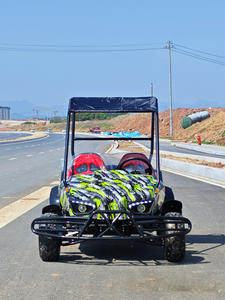 Kart Eléctrico Todoterreno Familiar Personalizado para Exteriores, Motor DC sin Escobillas <span class=keywords><strong>de</strong></span> 1200W, para Dos Personas, Quad para Parejas - Product Image 2