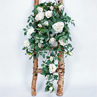 Guirlande de fleurs artificielles en soie Rose Champagne intemporelle, effet cascade, pour décoration murale de fond de salon de ferme