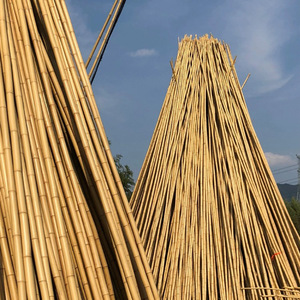 Yuzhu Carbonized Bamboo Poles White Insect Proof Anti Corrosion For Ceiling Outdoor Use - Product Image 4