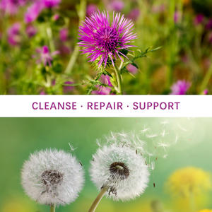 Complexe Professionnel de Soutien Hépatique : Capsules de Chardon-Marie (Silymarine) et Racine de Pissenlit, Complément Herbal Détoxifiant et Purifiant - Product Image 4