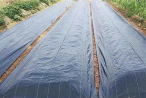 Tela especial para control de malezas en jardines de villas, barrera resistente negra para malezas con líneas de delimitación para la construcción de paisajes de lujo - Product Image 6