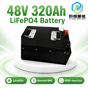 Batterie au lithium LiFePO4 48V 15,36 kWh avec BMS intelligent, cellules de batterie au lithium fer phosphate, cycle profond, grade A, rechargeable - Product Image 2