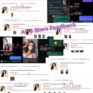 Короткие прямые парики-боб из натуральных вьетнамских волос, 10 дюймов, без клея, с двойной вытяжкой, с кружевной передней частью - Product Image 6