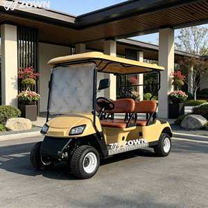 Carrito de Golf de Litio Silencioso de Alta Potencia de 72V, con Accesorios Completos, Asientos Confortables, para Uso Diario en Villas, Clubes y Campo - Product Image 1