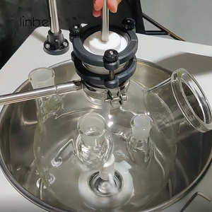 10L Single Layer Glass Lined Chemical <strong>Fermenter</strong> <strong>Bioreactor</strong> for Laboratory - Product Image 3