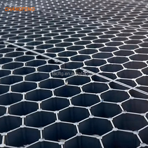 500*500*70 mét Heavy Duty Turf HDPE lồng vào nhau thấm pavers cho đường lái xe cỏ lưới cho đường ổn định - Product Image 3