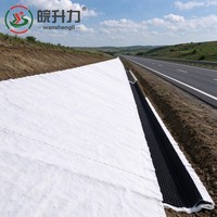 Géogrille de drainage composite 3D en HDPE certifiée ISO pour le drainage des eaux souterraines sur les bords de route
