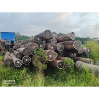 Vente en gros en usine de grumes de bois de ferme TALI panneau africain de haute qualité du Congo