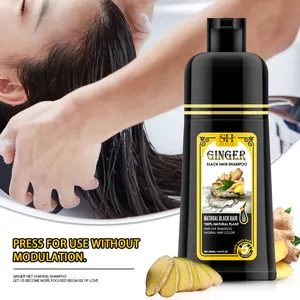 Private Label Black Shampoo Bottle With Pump Black Hair Dye Shampoo For Gray Hair