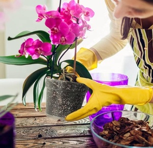 Vasi per <span class=keywords><strong>orchidee</strong></span> trasparenti fori trasparenti in plastica resistente cestini in plastica trasparente drenaggio per aerificazione vasi per fioriere per <span class=keywords><strong>orchidee</strong></span> orchidea - Product Image 4