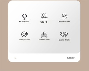 Promosi pabrik 100% kapas sate jacquard tebal musim dingin quilt core 100% selimut sutra murbei - Product Image 6