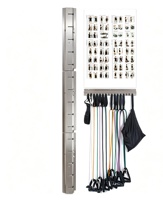Sistema de Entrenamiento de Resistencia Montado en la Pared con 5 Niveles de Resistencia y Modos de Entrenamiento Duales para Gimnasio en Casa y Rehabilitación Física
