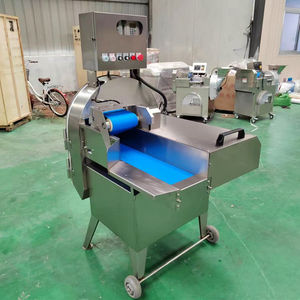 Machine à découper et à râper les légumes multifonctionnelle à tête unique, conception écologique, 220V/240V/115V pour les chips de pommes de terre - Product Image 5