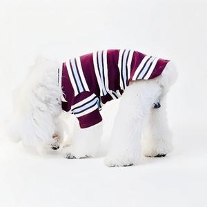 Conjuntos de Ropa para Perros y Dueños, Diseño a Rayas, Serie <span class=keywords><strong>MIU</strong></span>, Ropa Fresca de Verano para Exteriores - Product Image 5