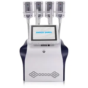 Almofadas Cryo portáteis Pás térmicas legais Equipamento de contorno corporal Cryoskin EMS Slimming Machine com 4 alças Cryo