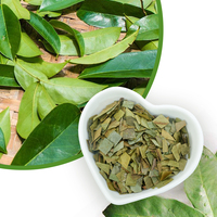 Tisane de Graviola Chinaherbs, feuilles d'herbes séchées en sachet, thé santé, biologique, végétalien