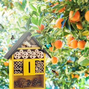 Casetta Interattiva in Legno per Api - Alloggio Naturale per Api Solitarie e Habitat per Insetti - Cassetta Nido da Esterno per Insetti Polinizatori e Api da Giardino - Product Image 6