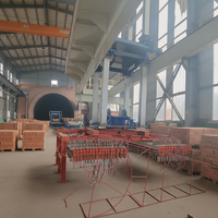 Machine à empiler les briques d'argile hydraulique automatique Xinxing avec moteur et contrôle PLC, haute productivité pour la construction