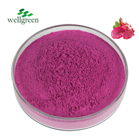 Wateroplosbaar gevriesdroogd rode drakenfruitpoeder (pitaya poeder)