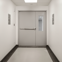 Porte en acier moderne résistante au feu avec isolation thermique pour usage commercial, surface finie