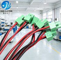 Harness Kabel Listrik 2-Pin Hijau Kustom, Harness Kabel Konduktor Tembaga Berlapis Timah untuk Lampu LED & Peralatan Industri