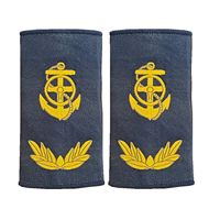 Épaulettes personnalisées brodées, rayures écologiques thermocollantes/à coudre, écussons de mode brodés pour uniformes professionnels