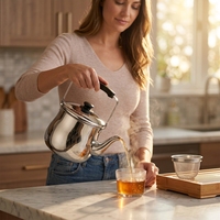 Bouilloire japonaise Degin 2L en acier inoxydable compatible induction avec filtre, design écologique, pour la préparation du thé sur cuisinière domestique