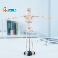 Modèle de squelette humain 85CM Modèle d'enseignement médical Anatomie Bras et jambes amovibles spéciaux Modèle