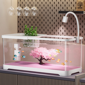 Nuovo Mini <span class=keywords><strong>Acquario</strong></span> 2026 con Pompa e Filtro, Ciotola in Vetro Trasparente, Grotta Rocciosa Nascondiglio, Bellissimo Setup per Acquascaping - Product Image 2
