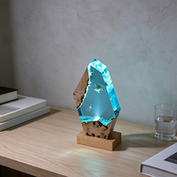 Lampe de table en bois et résine irrégulière, plongeur sous-marin, tortue marine, micro-paysage, base en bois USB, veilleuse décorative, cadeau