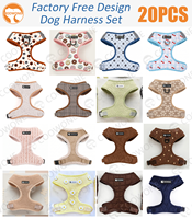 Ensemble Harnais pour Chien OEM d'Usine, Collier Rayé pour Animaux de Compagnie avec Laisse Durable, Harnais Anti-Traction en Maille Respirante Douce, Harnais Personnalisé pour Chien