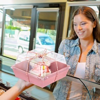 Boîte d'emballage de gâteau en papier de couleur rose Dessert Muffin Cookie Display Packaging Charcuterie Container avec couvercle transparent transparent