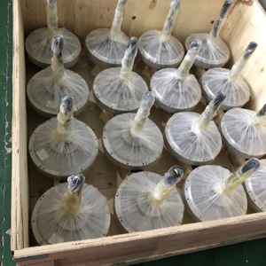 Generador de <span class=keywords><strong>viento</strong></span>/hydro/Solar de 2KW, generador de imán permanente de flujo Axial sin núcleo - Product Image 6