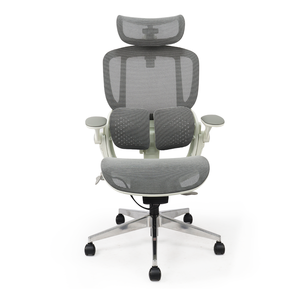 Ergopro Ergonomic Ghế văn phòng kép thắt lưng <span class=keywords><strong>4D</strong></span> hỗ trợ cuối cùng thoải mái OEM/ODM bán buôn giải pháp - Product Image 1