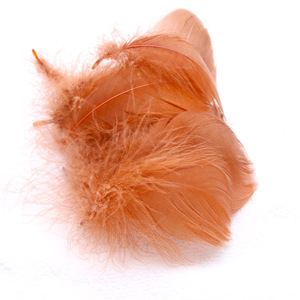 Atrapasueños hecho a mano, plumas de ganso de 6-12cm, diseño de moda artesanal, decoración de ropa, venta al por mayor - Product Image 2