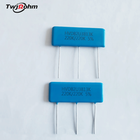 Resistencia Divisora de Voltaje TWJOHM HVD82U3813 220K/220K de Película Gruesa No Inductiva de Alto Voltaje 1W 1% para Uso en Instrumentación 38x13mm